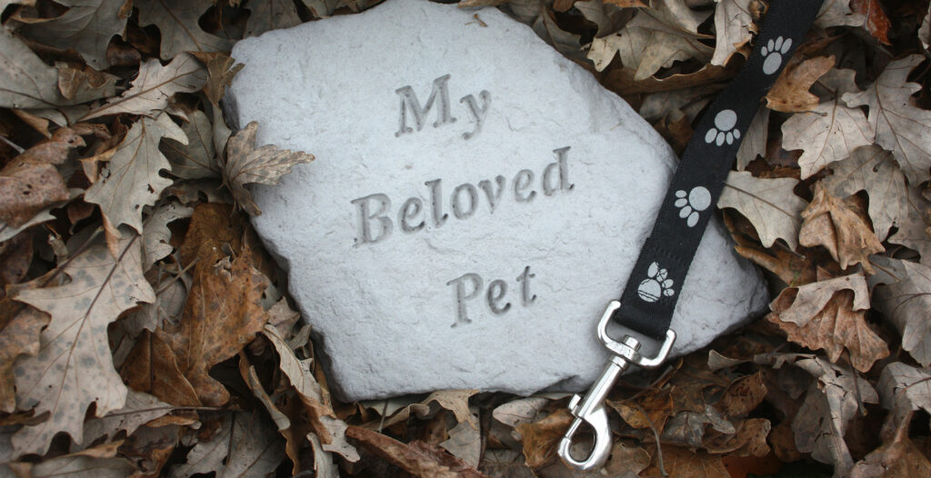 pet tomb revealed between autumn leaves