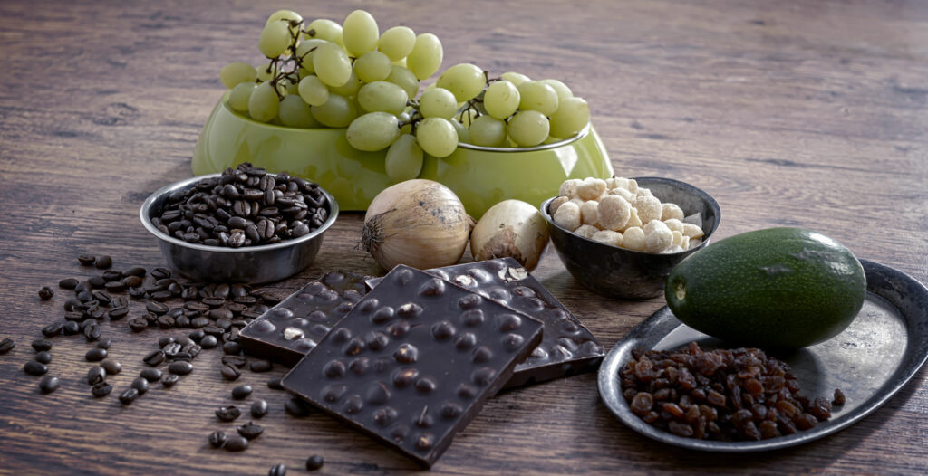 bowl of fruit on a wooden table