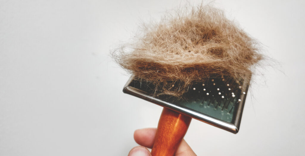 deshedding pet brush with brown pet fur on it