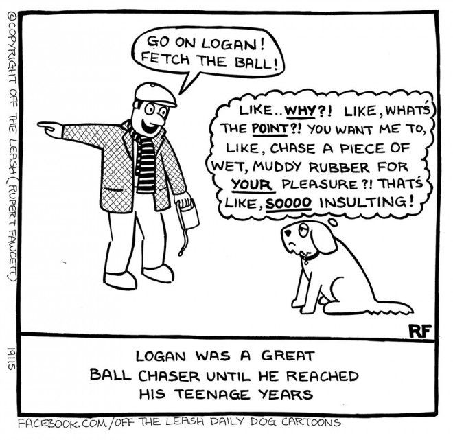 A funny cartoon making a joke about teenagers for the article 2 puppies at the same time