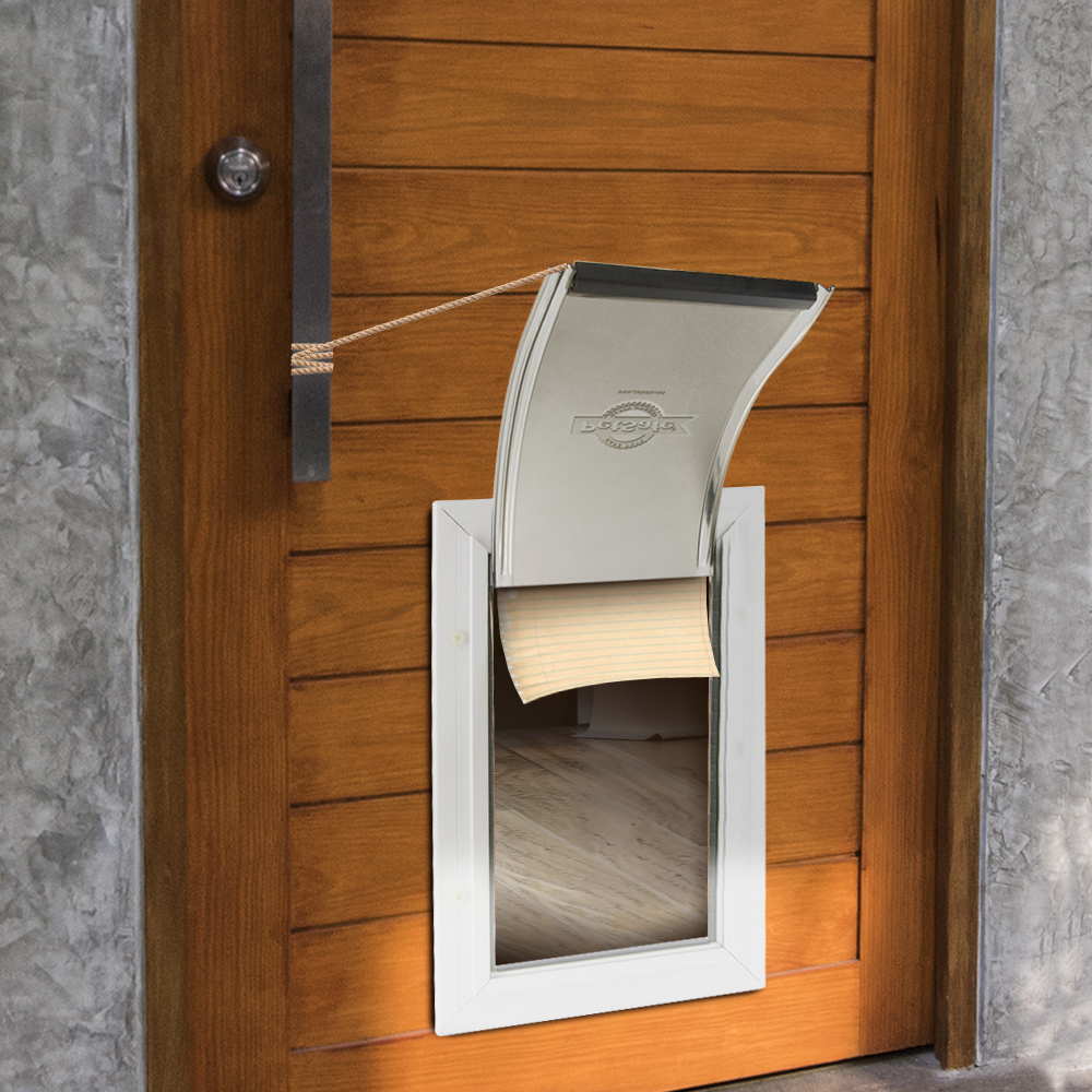 image of a cat flap being help open for the training and the article how to teach your pet to use a pet door